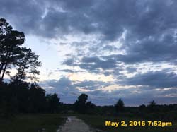 IMG_5221