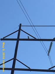 IMG_5293