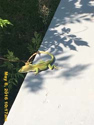 IMG_5318
