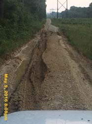 IMG_5441