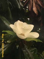 IMG_5561
