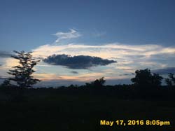 IMG_5618