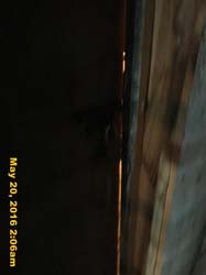 IMG_5659