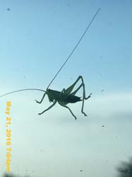 IMG_5720