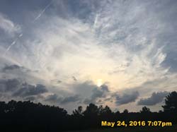 IMG_5918