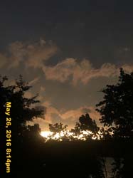 IMG_5980