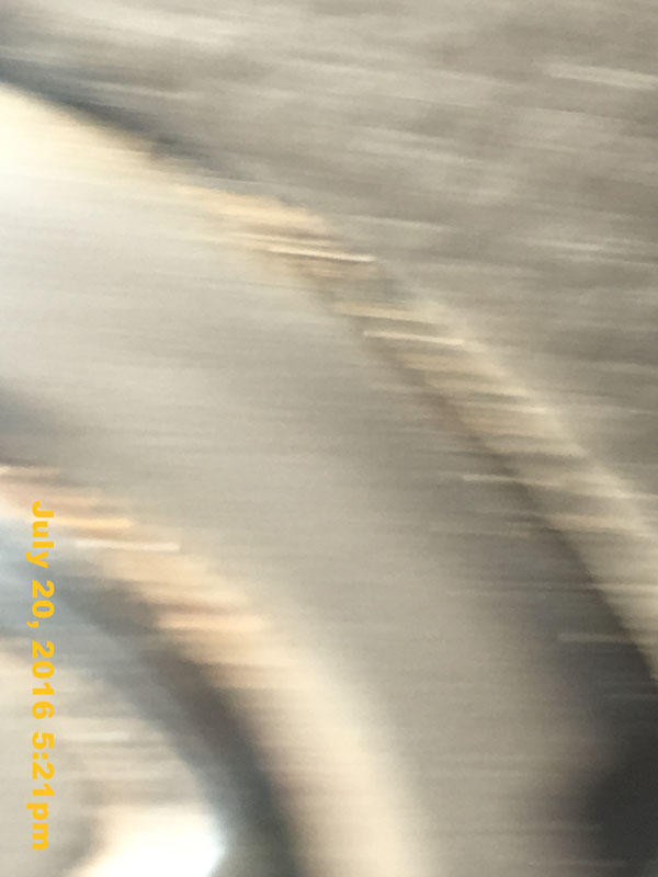 IMG_8981