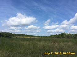 IMG_8126