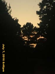 IMG_8201