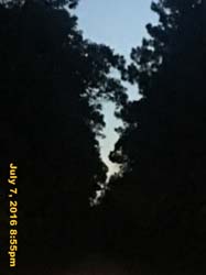 IMG_8204