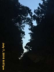 IMG_8205