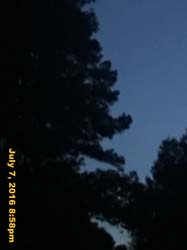 IMG_8207