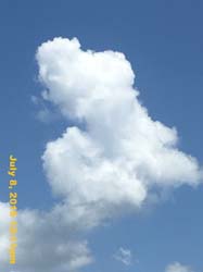 IMG_8238