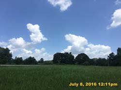 IMG_8239