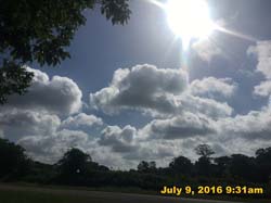 IMG_8268