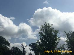 IMG_8271