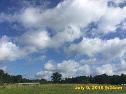 IMG_8273