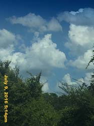 IMG_8355