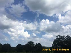 IMG_8379