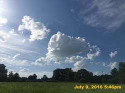 IMG_8384