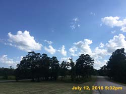 IMG_8534