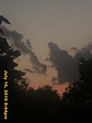 IMG_8704