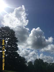 IMG_8716
