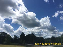 IMG_8797