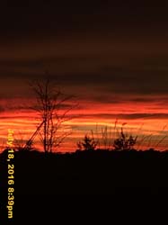 IMG_8866