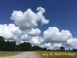 IMG_8961