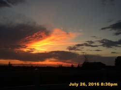IMG_9275