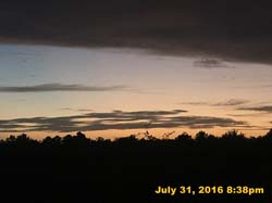 IMG_9453