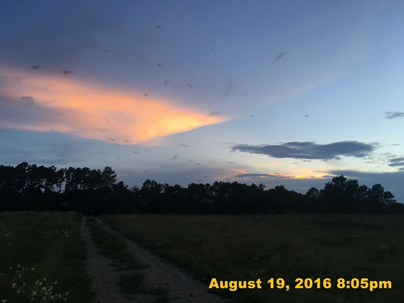 IMG_0694