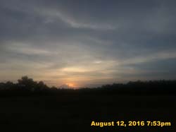 IMG_0250