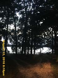 IMG_0260