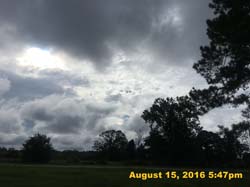 IMG_0438
