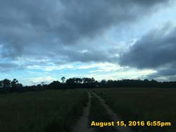IMG_0440