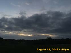 IMG_0452
