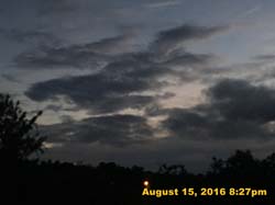 IMG_0454