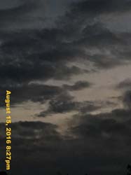 IMG_0456