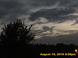IMG_0457