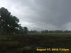 IMG_0555