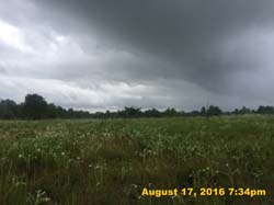 IMG_0556