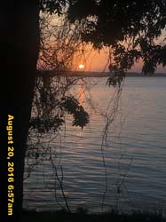 IMG_0703