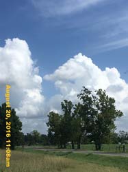 IMG_0709