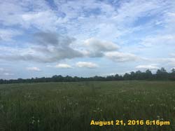 IMG_0810