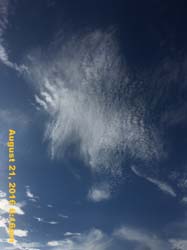 IMG_0811