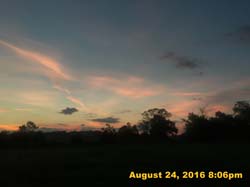 IMG_0961