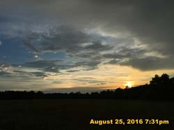IMG_1039