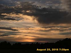 IMG_1044